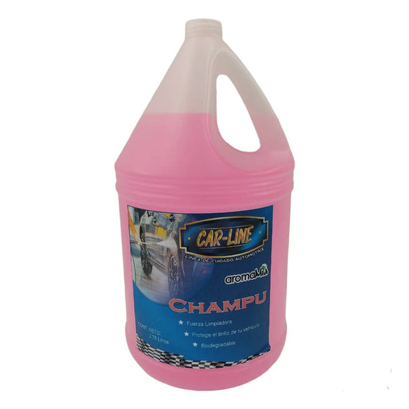 CHAMPU CARRO CON SILICON GALON 3.75 L